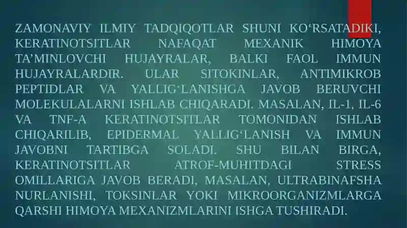 Keratinizatsiya jarayonlari haqida zamonaviy tasavvurlar. Soch follikulasining sikli (soch o'sishi sikli) va uning klinik ahamiyati 3