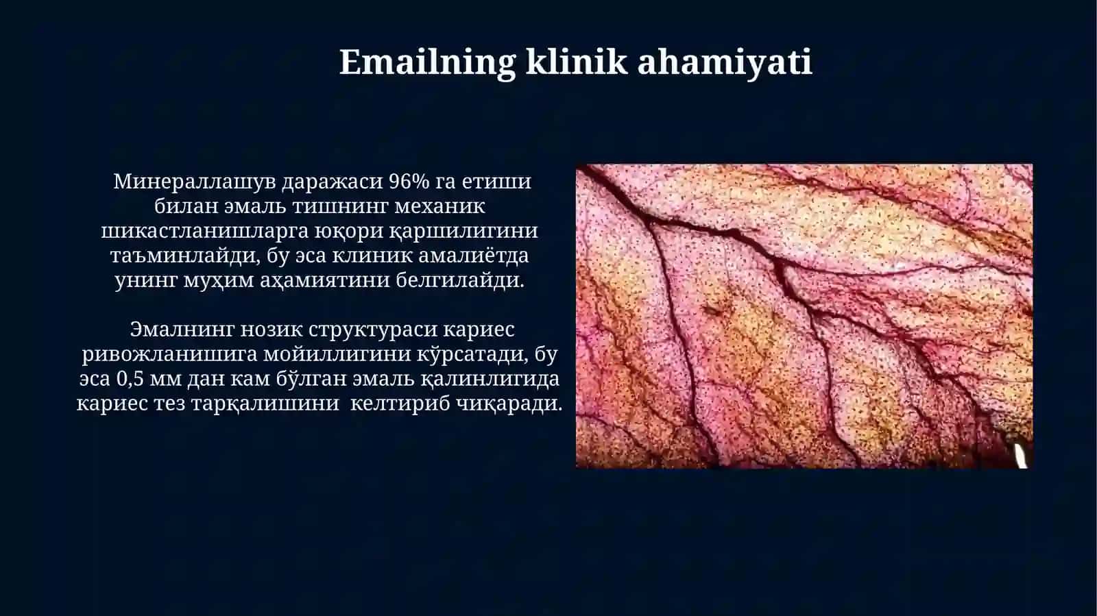 Цемент Тўқимасининг Гистологияси 3