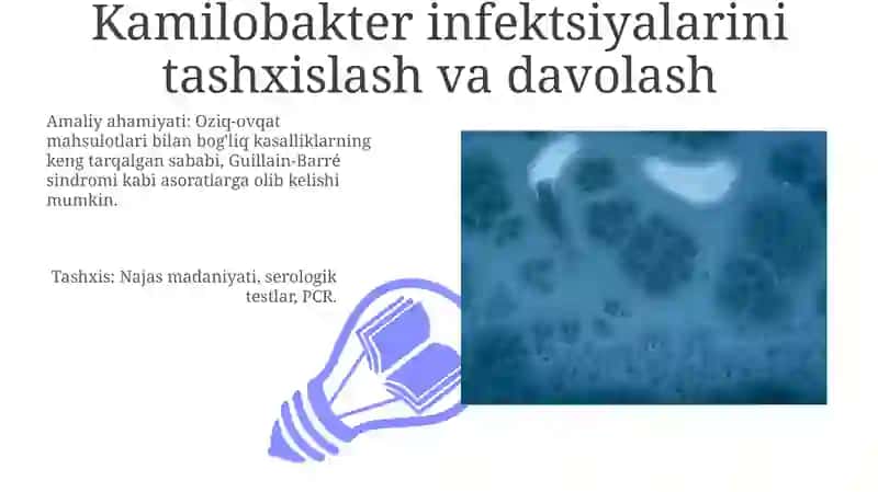 Kampilobakteriyalar xelikobakteriyalar va ularning amaliyotdagi ahamiyati 3