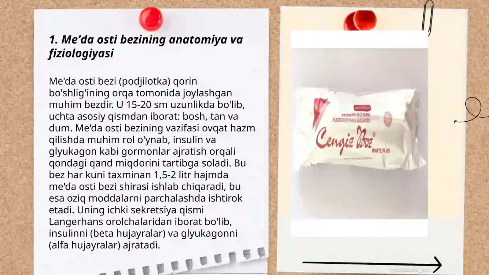 Meʼda osti bezi ekzokrin funksiyasini neyrogumoral boshqarilishi 3