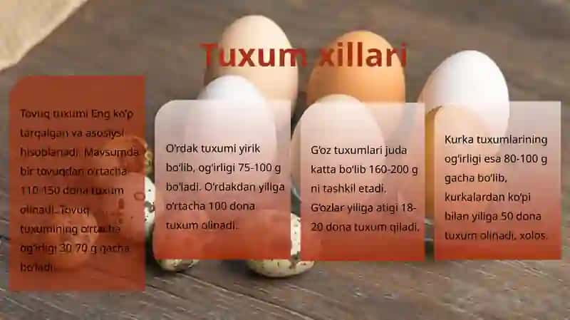 Tuxumlar turlari 3