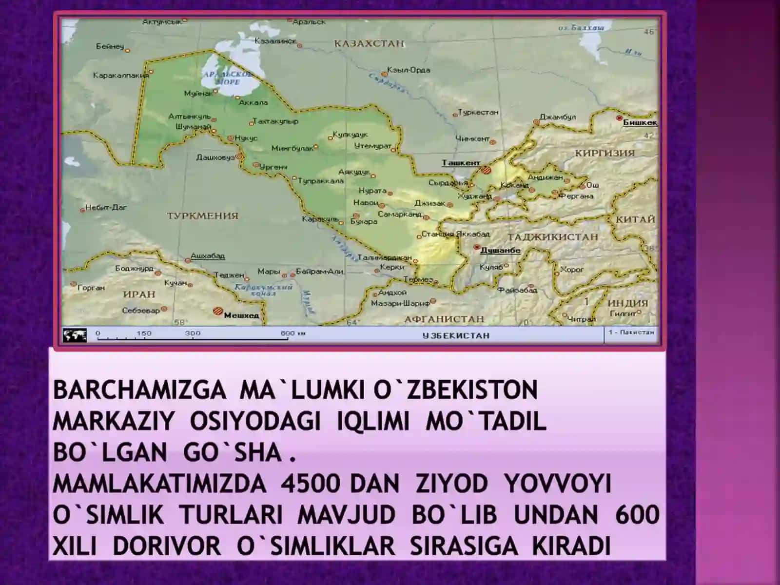 Tib qonunlari 3