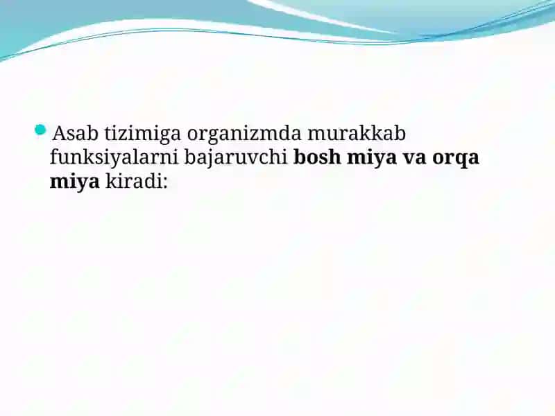 Oliynervfaoliyati 3
