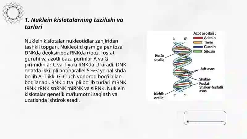 Umumiy genetika.Irsiyatning molekulyar asoslari 3