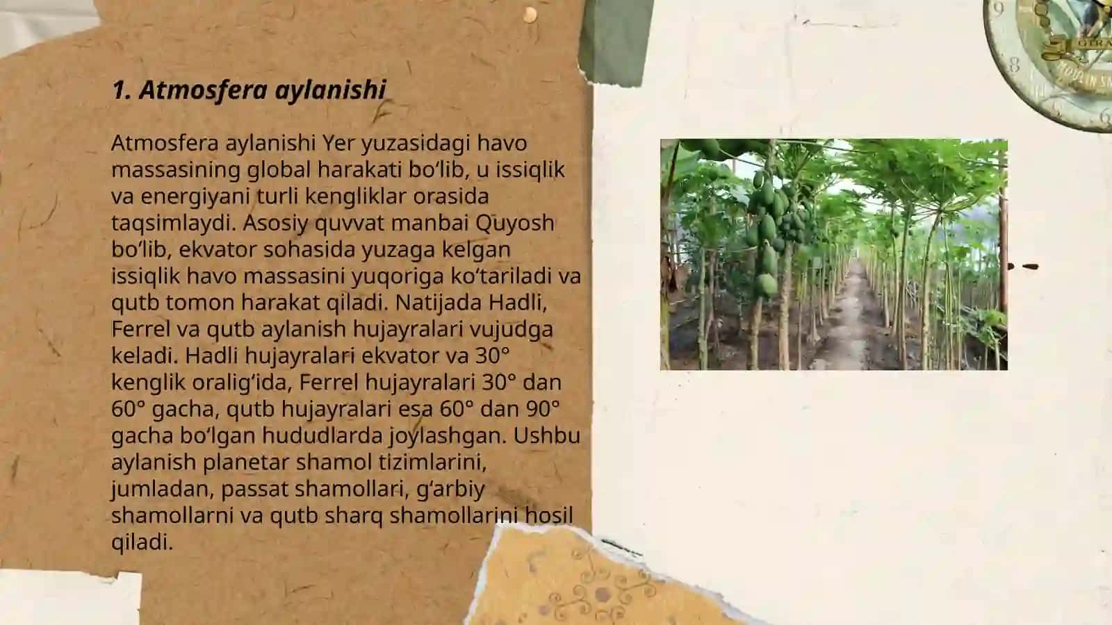 Materiklar iqlimi iqlimn hosil qiluvchi omillar 3