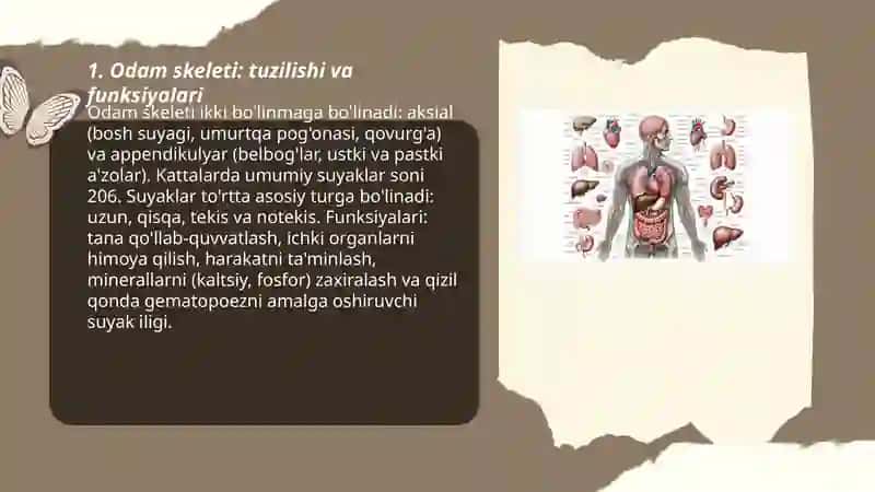 Odam organizmining tuzilishi va salomatligi 3