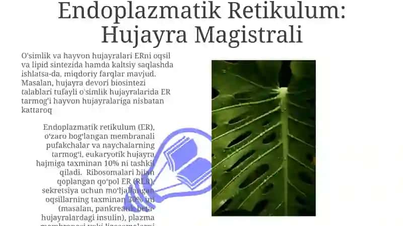 Oʻsimlik va hayvon hujayralarining oʻxshashlik va farqli jihatlari 3