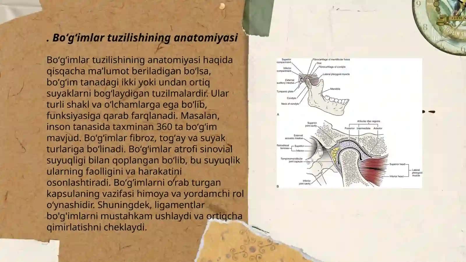 Boʻgʻimlar tuzilishiga tashqi va ichki faktorlarning tasiri 3
