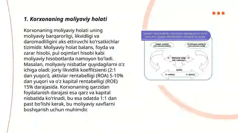 Loyihani amalga oshirivchi korxonaning moliyaviy taxlili 3
