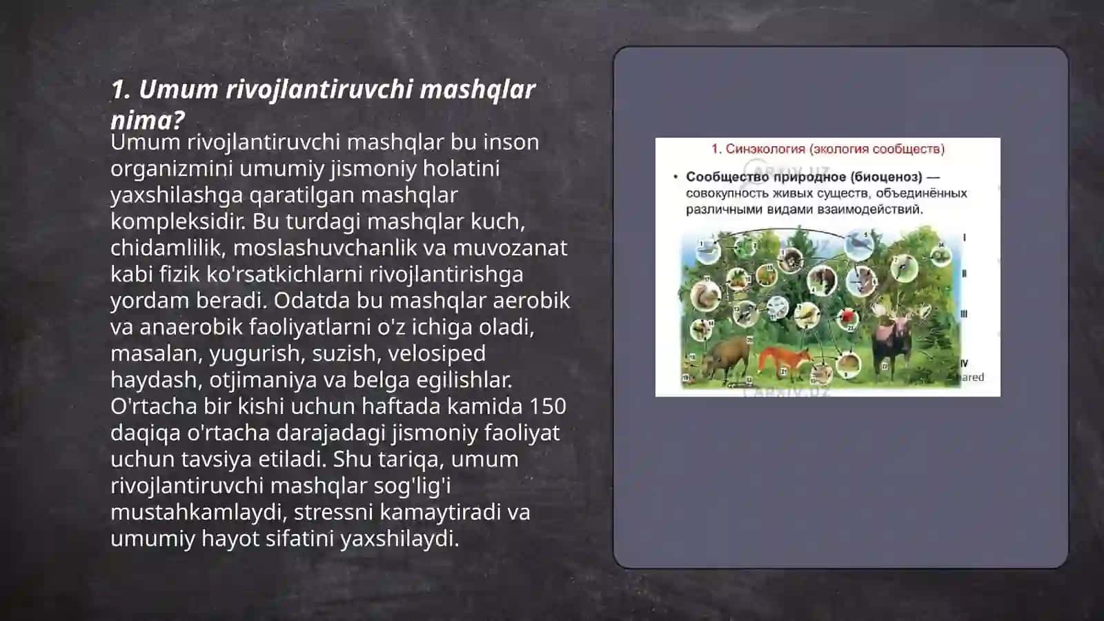 Umum rivojlantiruvchi mashqlar va ularning organizmga taʼsiri 3