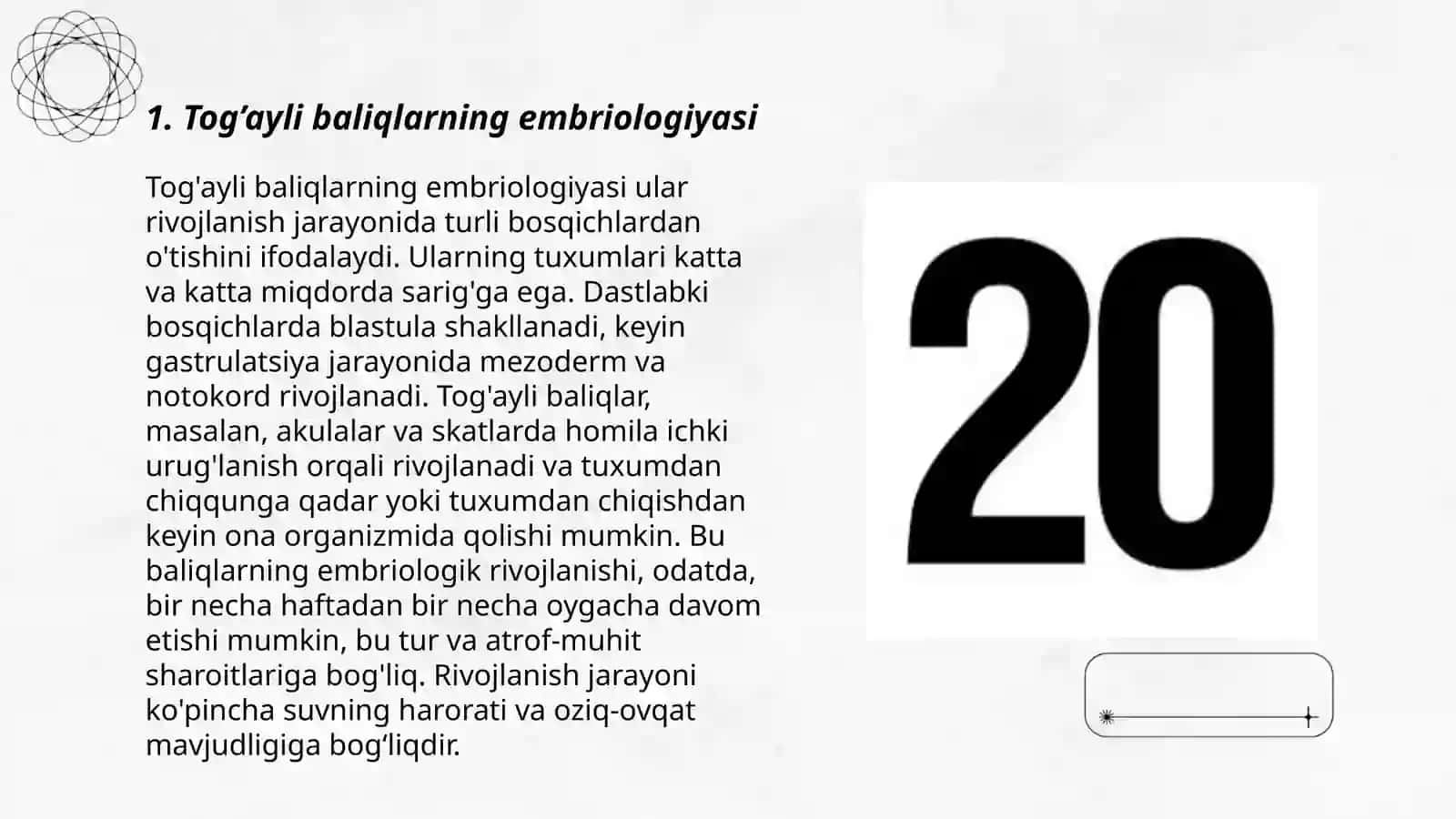 Tog’ayli baliqlarning embriologiyasi 3