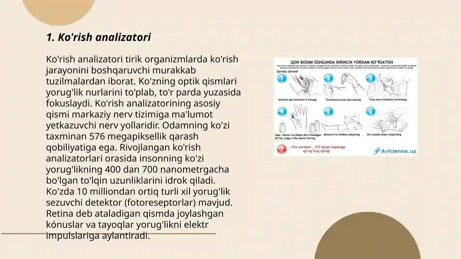 Analizatorlarning tuzulishi ( korish eshitish hid bilish tam bilish teri tuyish) 3