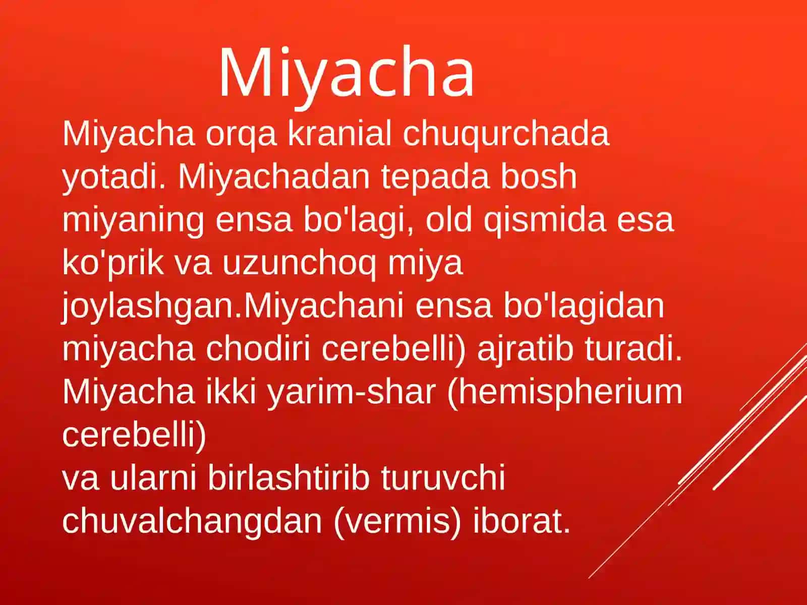 MIYACHA 3