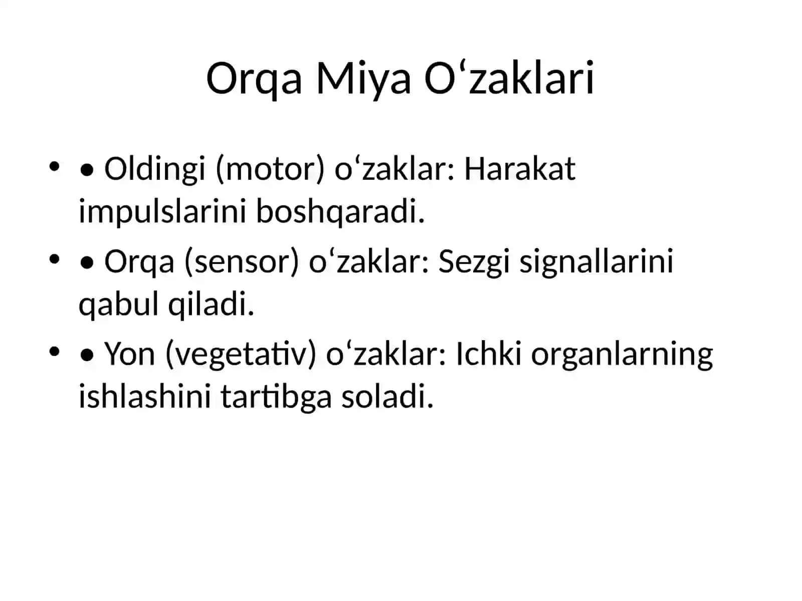 Orqa Miya Oʻzaklarining Joylashuvi va Ularning Ahamiyati 3