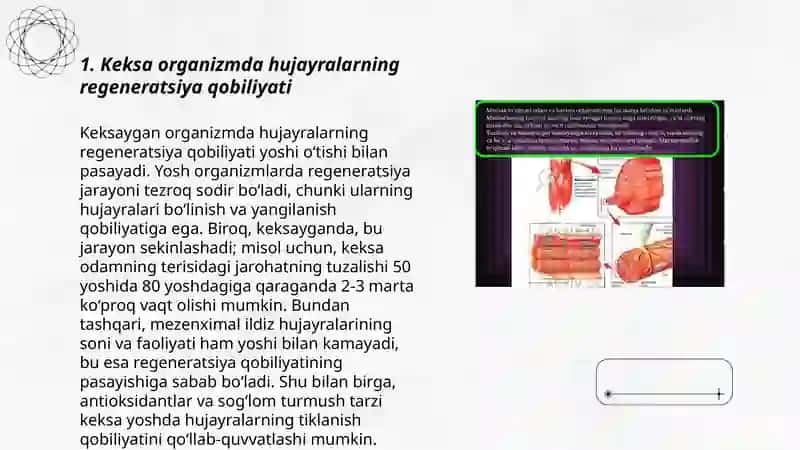 Keksa bemor. Keksa organizmning fiziologik xususiyatlari 3