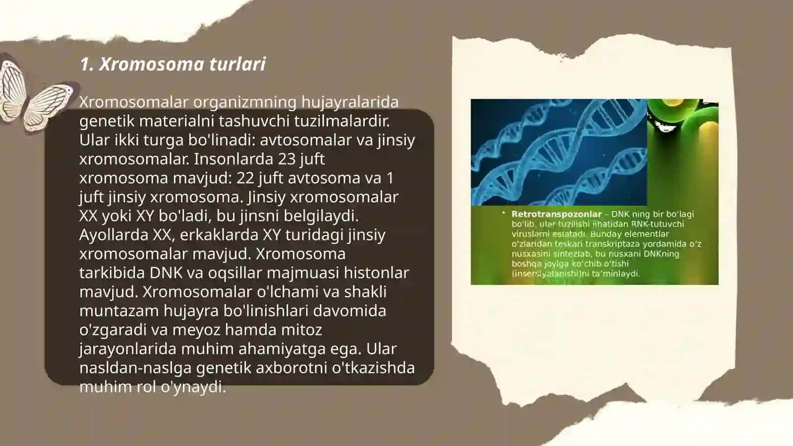 Xromosomalar klassifikatsiyasi sistemalari. Genetik kartalar 3