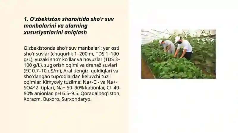 O'zbekiston sharoitida sho'r suvlarni chuchuklantirish g'oyasini yaratish 3