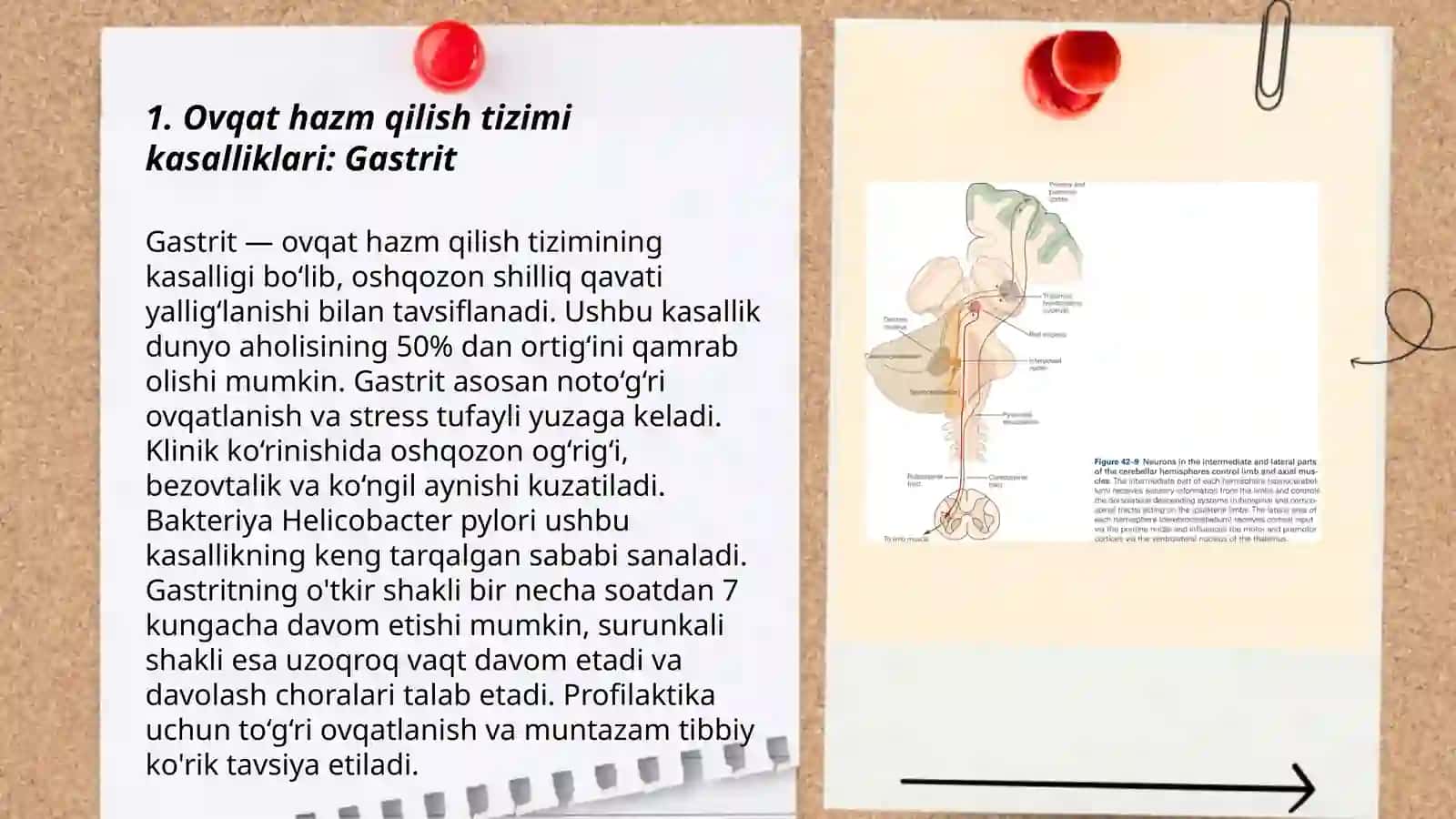 Ovqat hazm qilish tizimi va buyrak va siydik yo'llari kasalliklari buzilgan bemorlarni kuzatish va ularga g'amxo'rlik qilish. Eng ko'p uchraydigan kasalliklarning asosiy belgilari 3