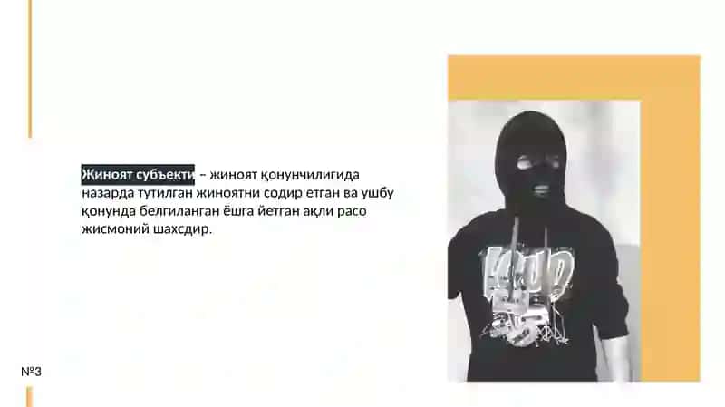 Жиноят субъекти 3