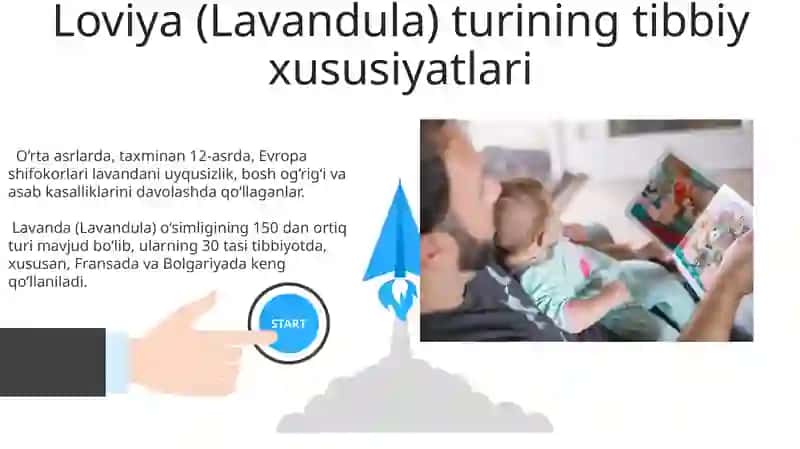Yalpizdoshlar oilasi va bu oilaning dorivor turlari 3