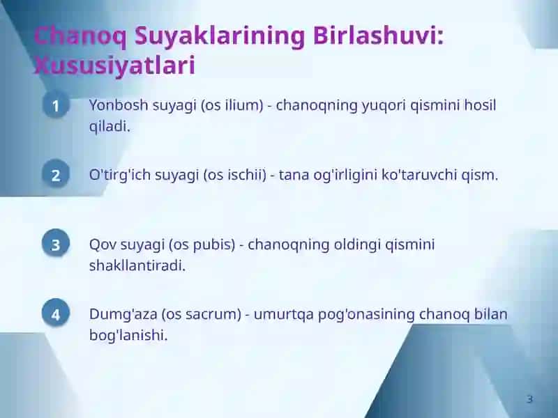 Chanoq Kamari: Tuzilishi, Harakatlari va Zamonaviy Tasvirlash Usullari 3