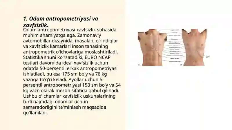 Odam anatomiyasining (antropometrik parametrlarining) xavfsizlikni ta'minlashdagi ahamiyati 3