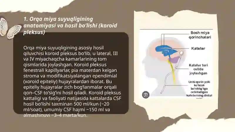 Orqa miya suyuqligi sirkulyatsiyasi, klinik ahamiyati 3