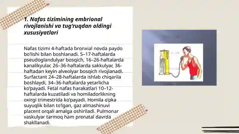 Nafas tizimining yosh xususiyati va gigiyenasi 3