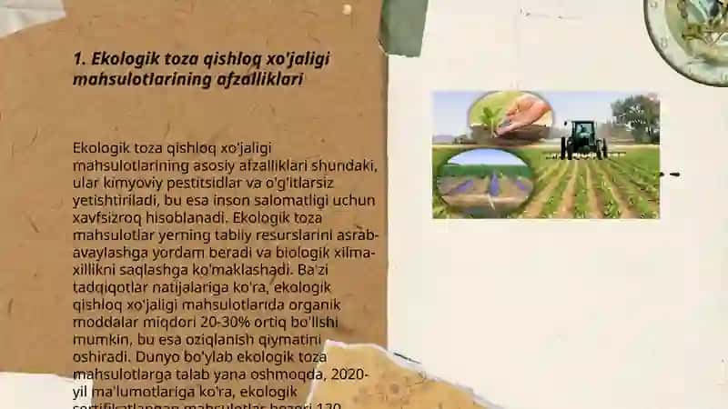 Ekologik toza qishloq ho'jaligi mahsulotlarini yetishtirish 3