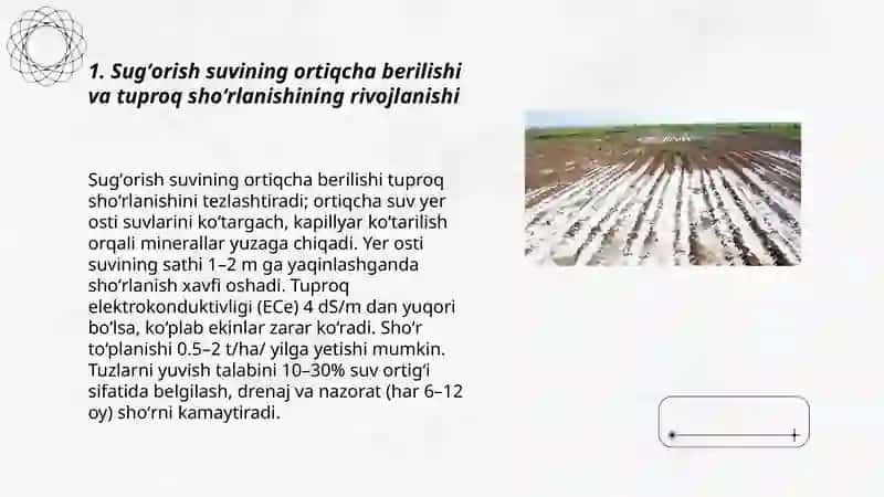 Shoʻrlangan mintaqalarda ekologik muammolarning kelib chiqishi 3
