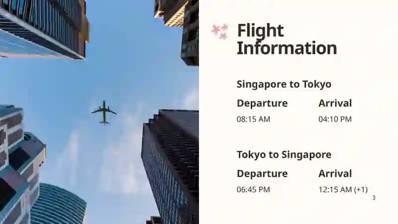 Trip to Japan 3