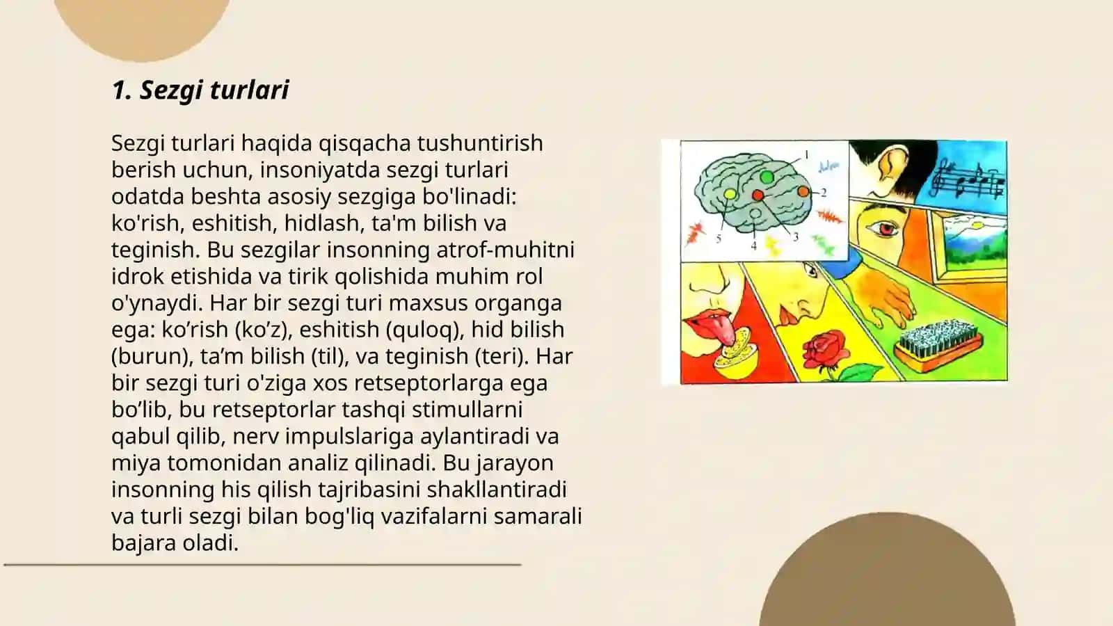 Sezgi turlari va uning qonuniyatlari 3