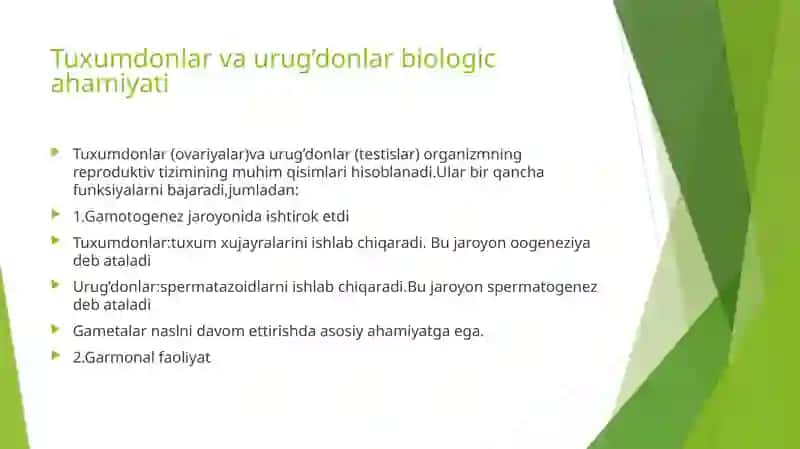 Tuxumdonlar va urug’donlar gistomorfologiyasi 3