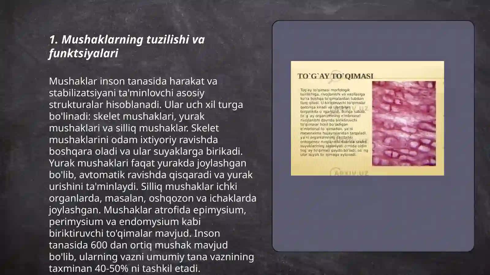 Mushak tog'risida umumiy ma'lumot 3
