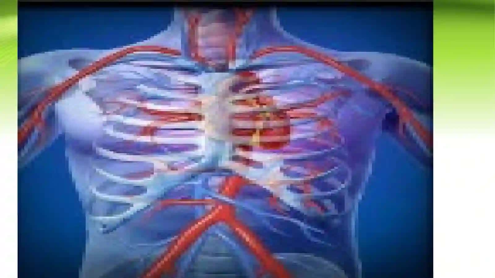 Anatomiyani o’rganish usullari 3