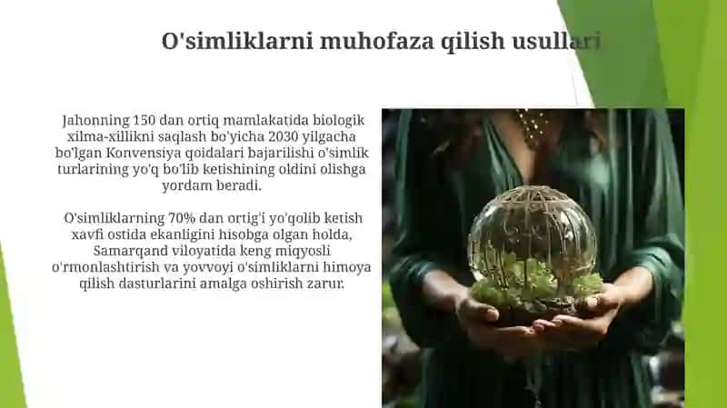 O'simliklarning muhofaza qilish usullari 3
