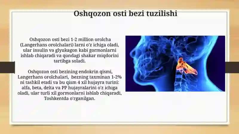 Oshqozon osti bezi tuzilishi 3