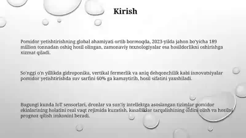 Tomatdosh sabzavot ekinlarining zamonaviy texnologiya asosida yetishtirish 3