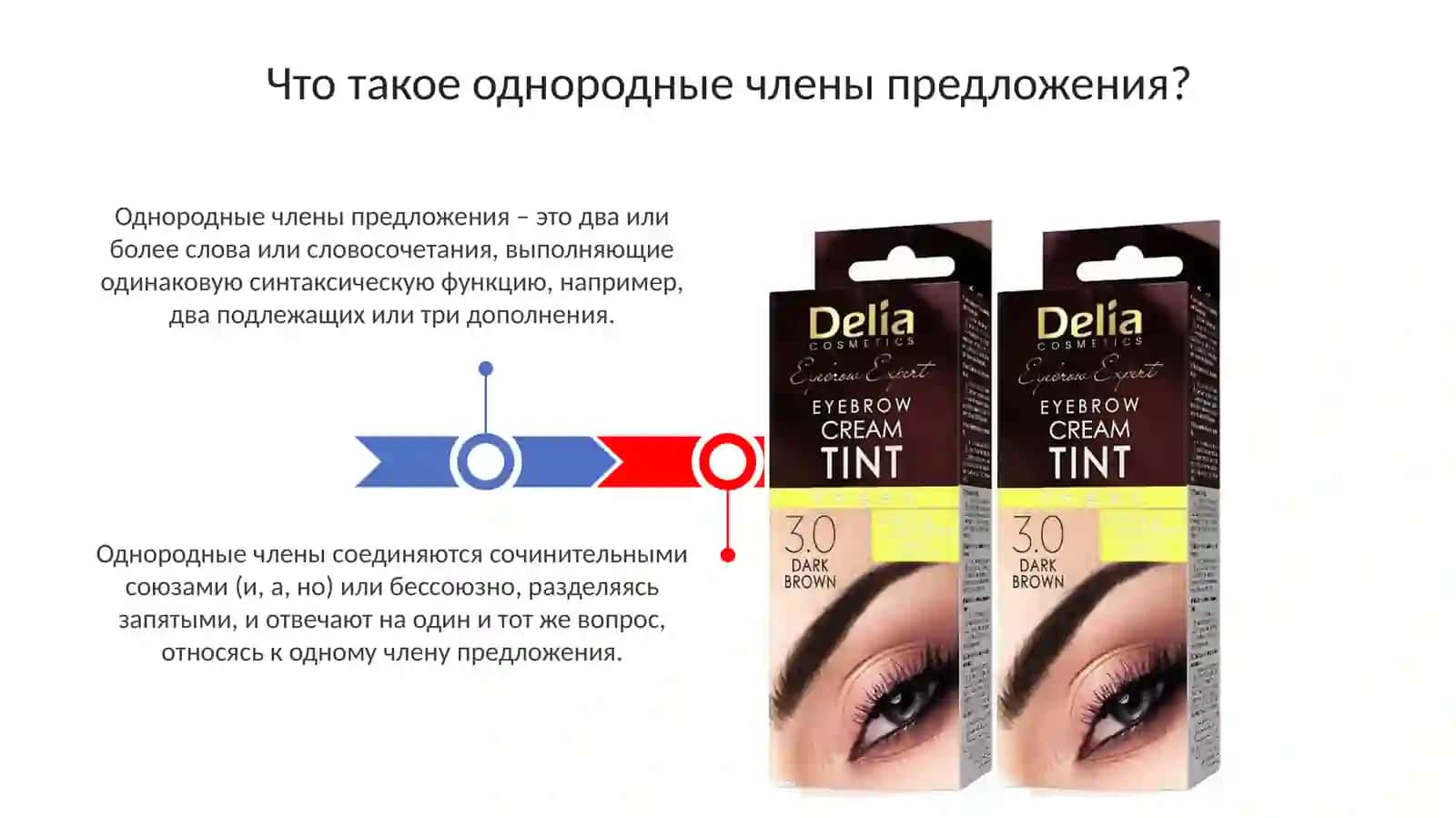 Однородные члены предложения 3
