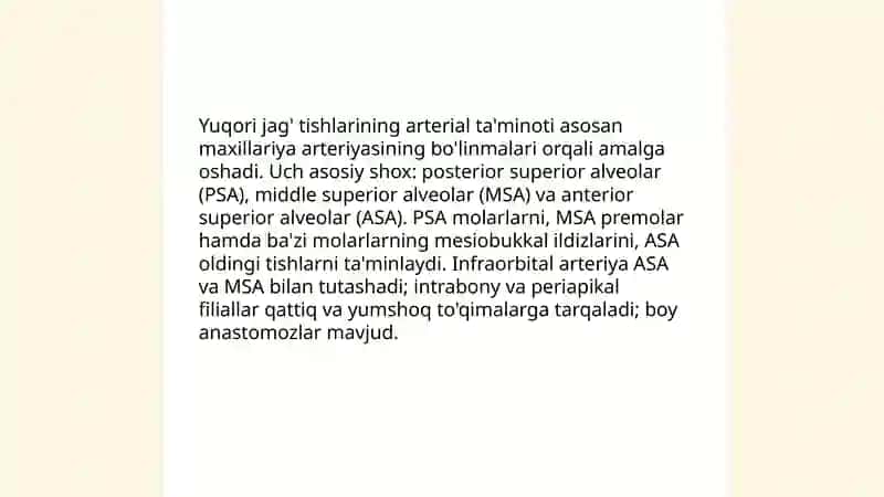 Yuqori jag' tishlarining arteria vena va nerv bilan ta'minlanishi 3