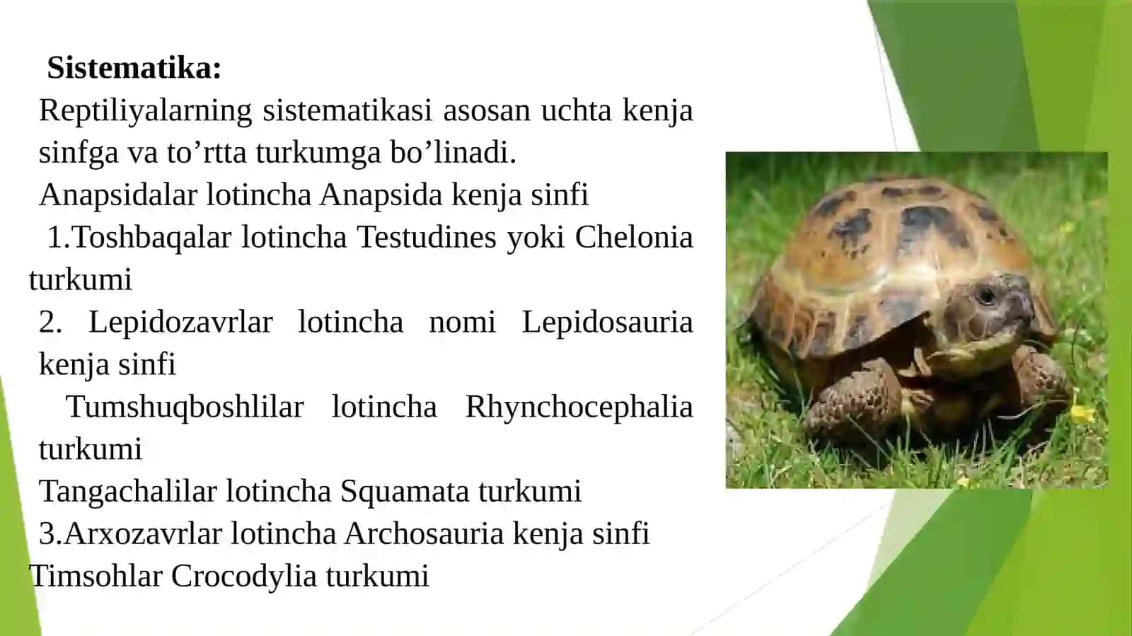 Reptiliyalarnimuhofazaqilishvaularningahamiyati 3
