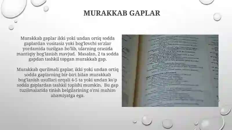 Soʻz gaplar, ularning turlari 3