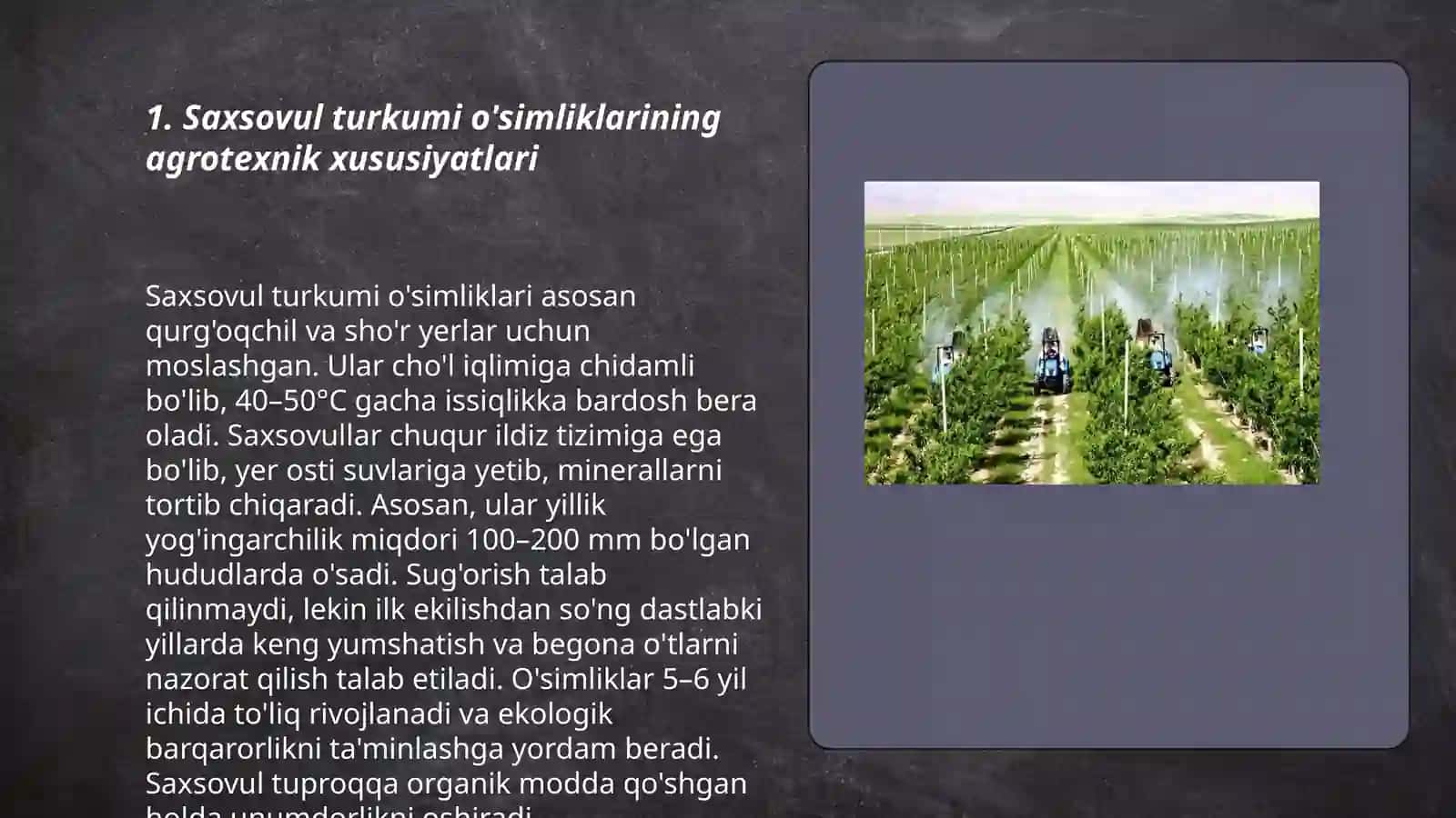 Saksovul turkumi bo'talarni o'g'itlash tizimini ishlab chiqish 3