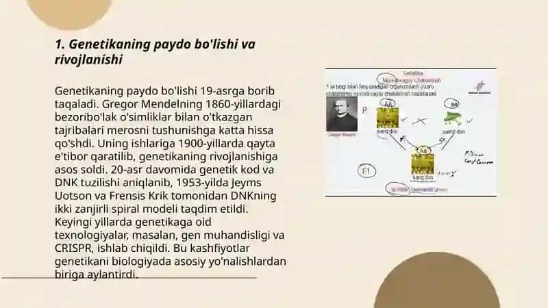 Genetikaning rivojlanish tarixi. G.Mendel qonunlari. Monoduragay chatishtirish 3