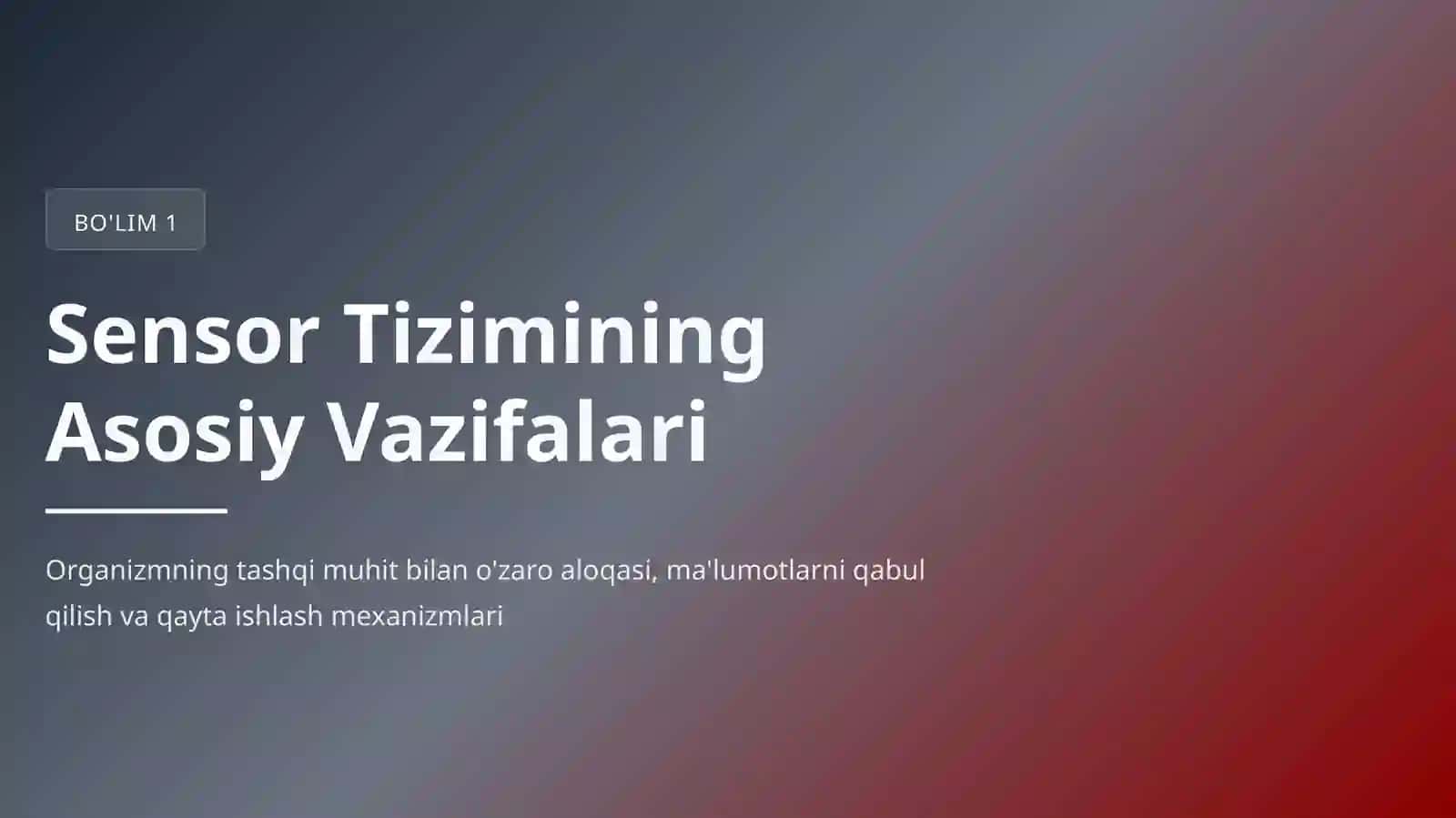 Analizatorlar Fiziologiyasi 3