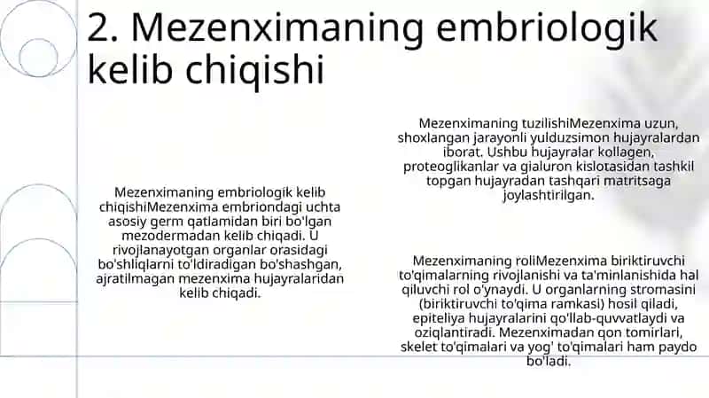 Mezenximaning Tuzilishi Va Ahamiyati 3