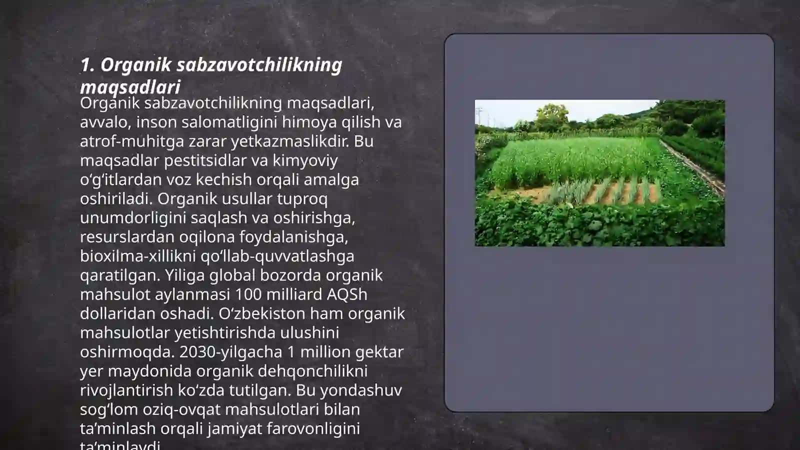 Organik sabzavotchilikda yetishtiriladigan ekin turlarining bog'liqlik tomonlari 3