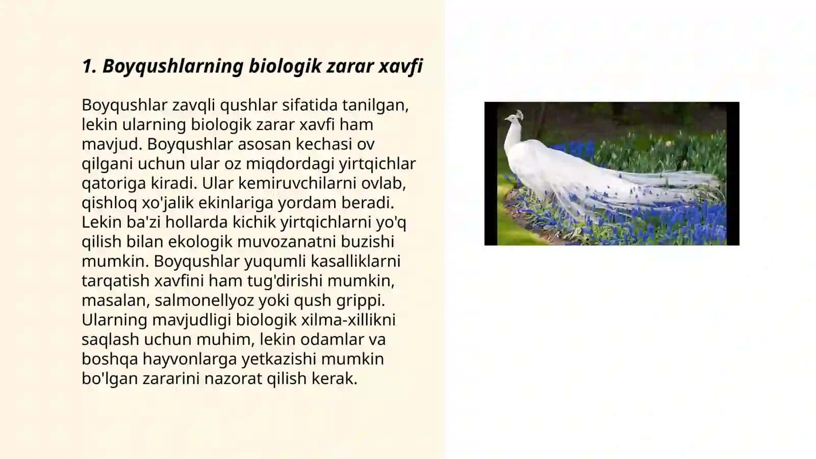 Boyqushlar (Yapaloqqushlar) biologik zarar manbai hisoblanadi 3
