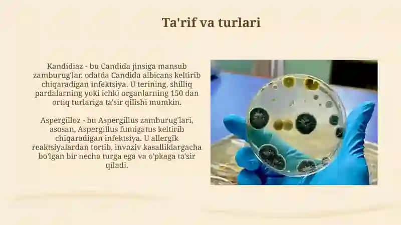 Zamburugʻ infeksiyalari (kandidoz, aspargillez) 3