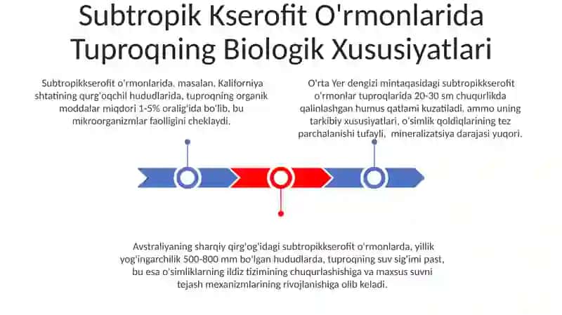 Subtropik-kserofit o'rmon oblast tuproqlari 3
